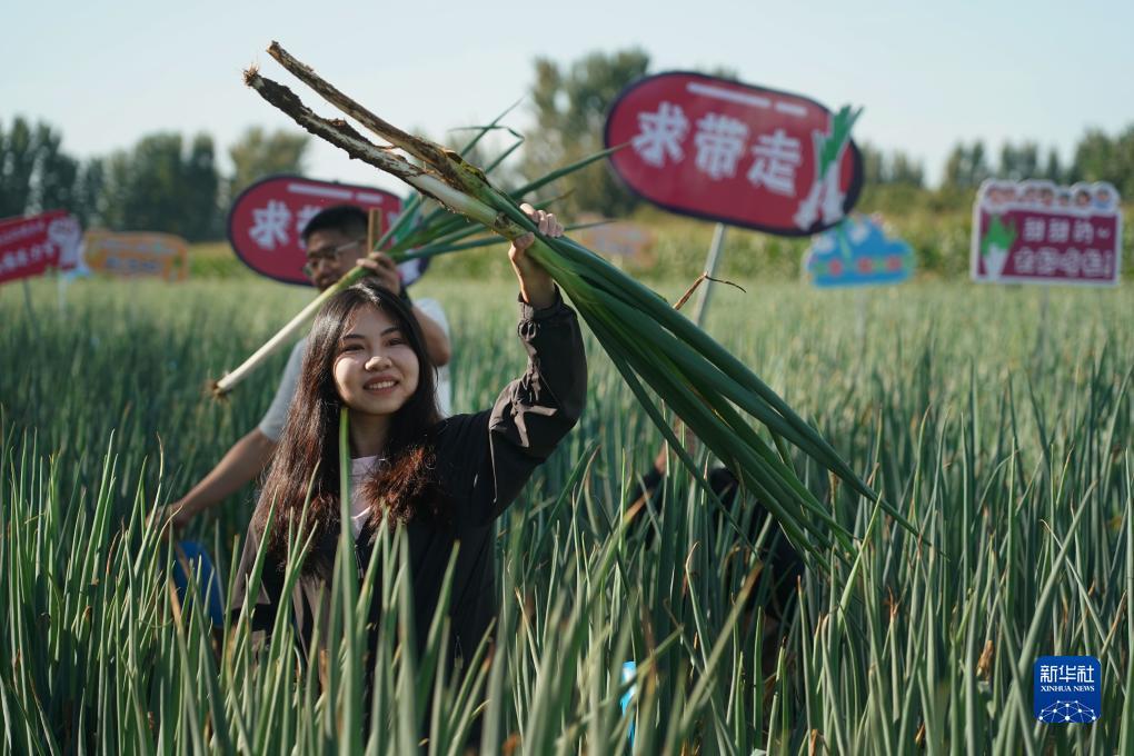 大富豪电玩城app下载